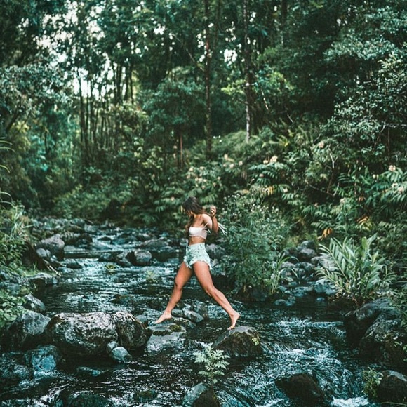 Meet your Posher, Penelope - Picture 1 of 1